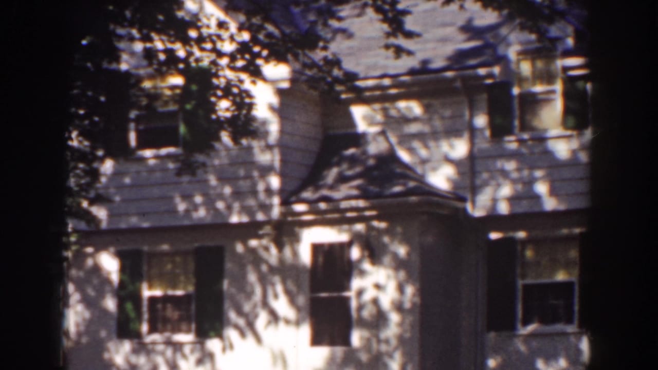 White two-story house partly shaded by trees with dark shutters and clapboard siding.