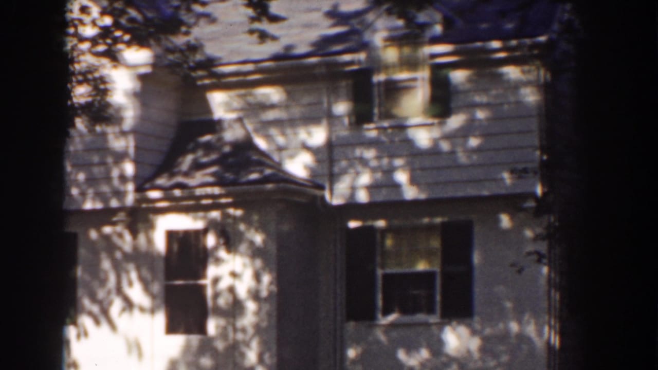 White house facade with dark shutters, tree shade, and a central dark tree trunk.