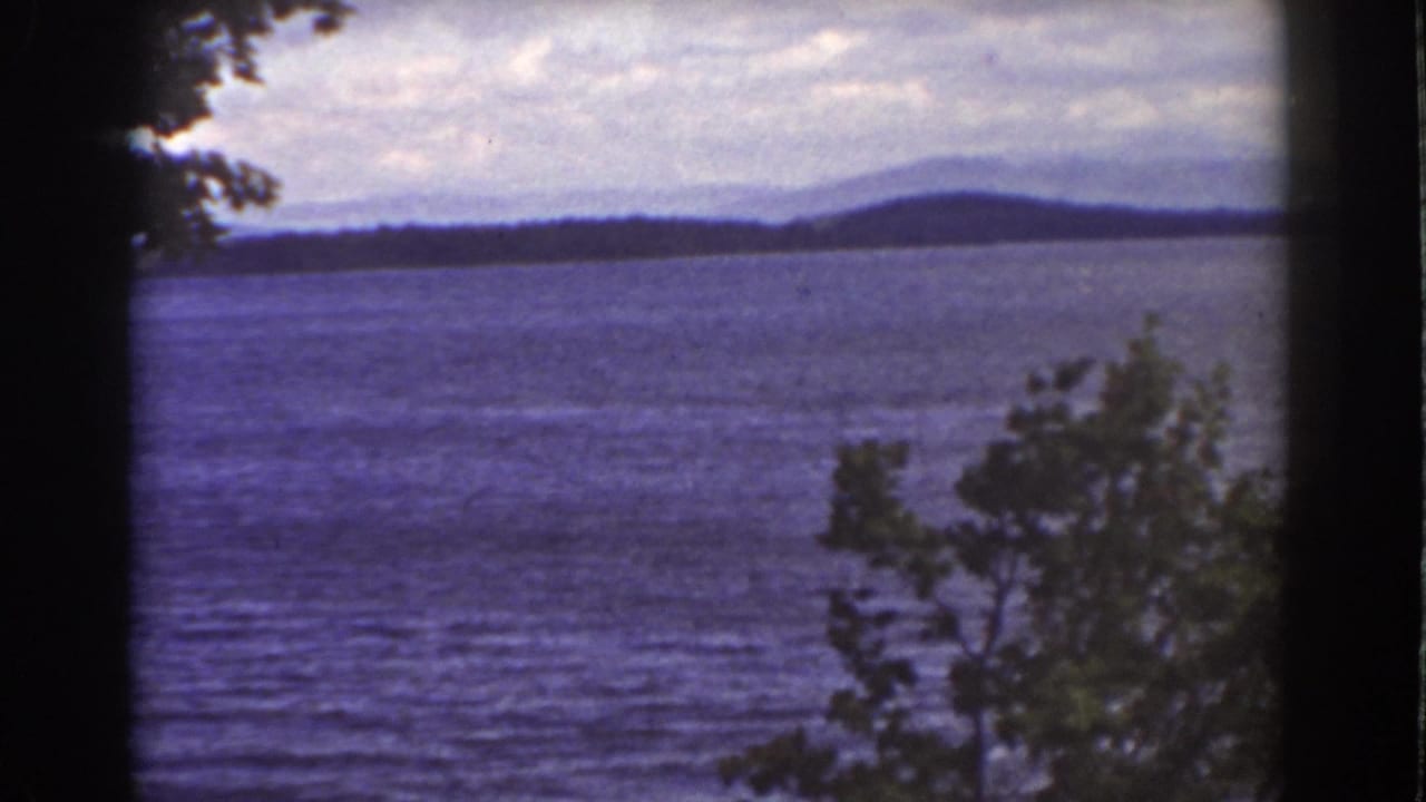1939 New Hampshire lake panorama with blue water, a distant forested ridge, and leafy foreground branches on the right.