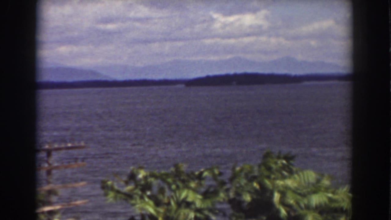 1939 Mount Washington-area lake view with leafy foreground plants, a small dock or railing at left, open water, distant wooded hills, and clouds.