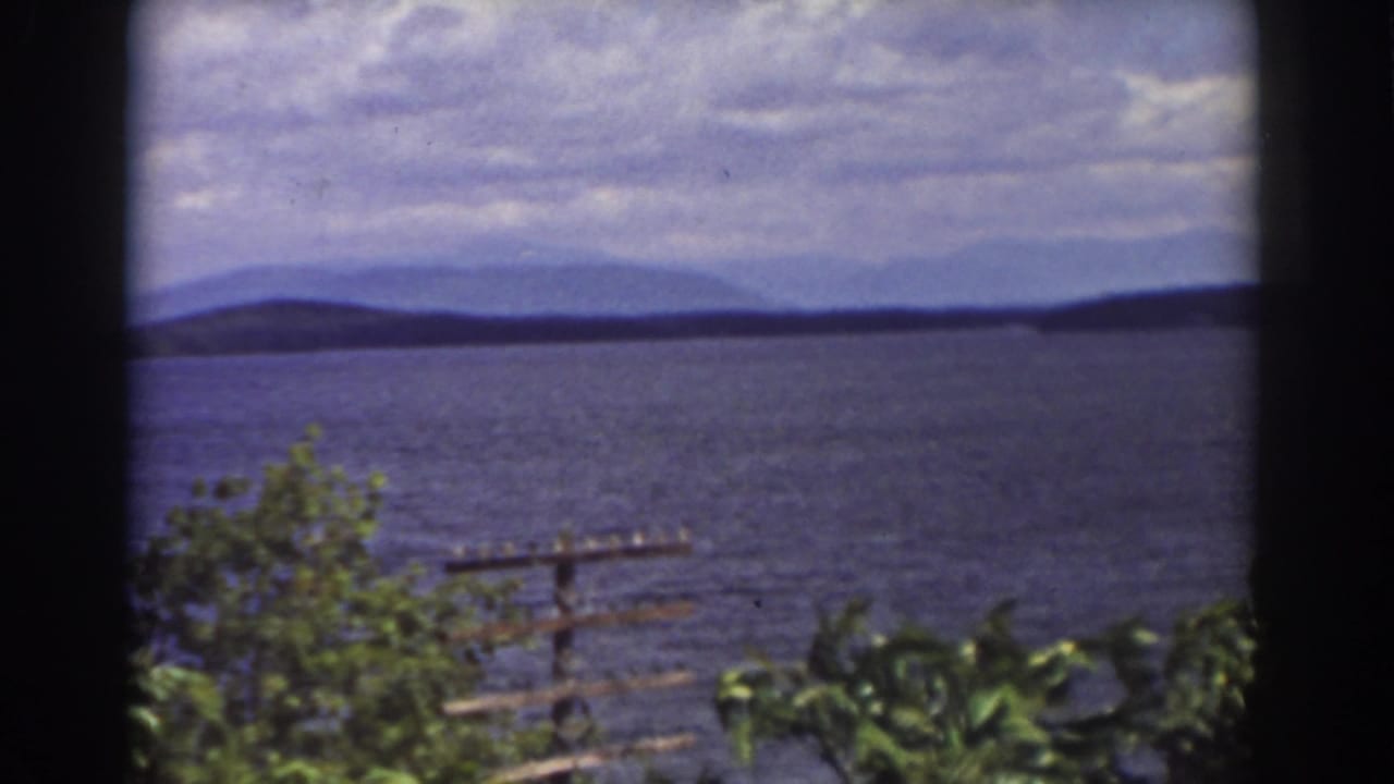Water and distant mountains under clouds, with leafy foreground and a wooden utility pole near shore.