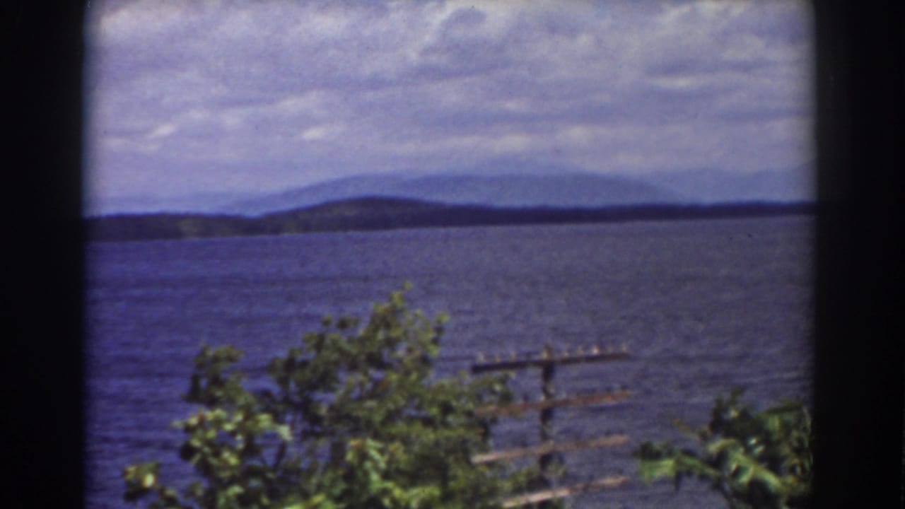 1939 New Hampshire landscape frame with a wide water view, distant mountain ridge, leafy plants, and a pole by the shore.