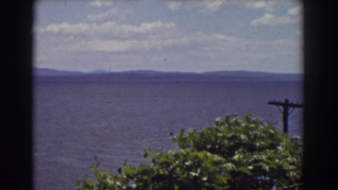1939 Mount Washington-area home-movie view toward distant water and hills, with leaves and a dark window or frame edge in the foreground.