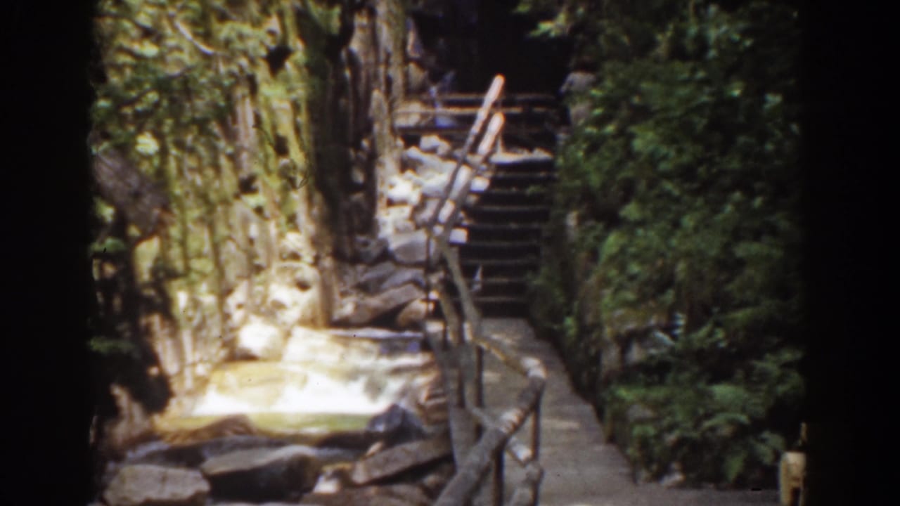 At Mount Washington, a concrete walkway and rustic wooden stair rails run along a sunlit rock wall in the woods.