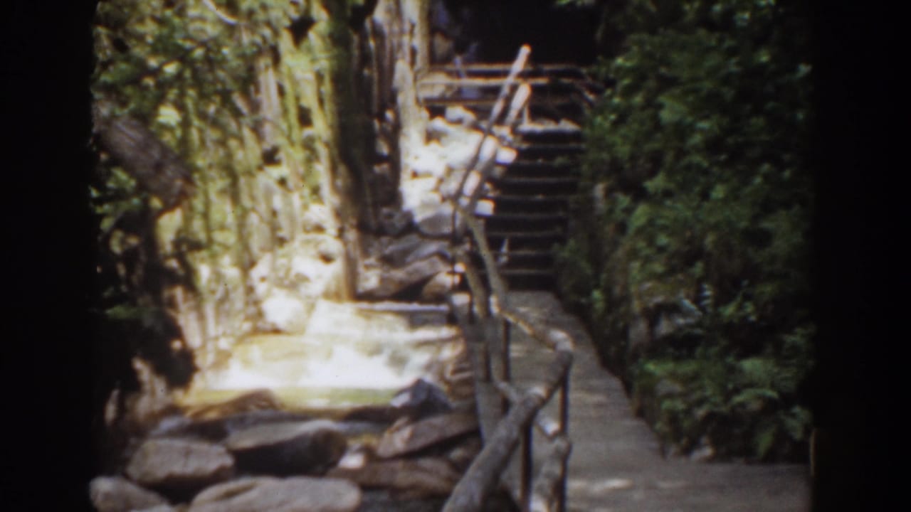 A forest path with rustic railings climbs beside rocks and dense greenery in this 1939 Mount Washington footage.
