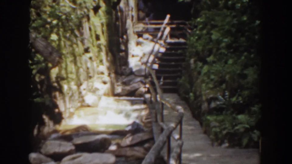 A forest path with rustic railings climbs beside rocks and dense greenery in this 1939 Mount Washington footage.