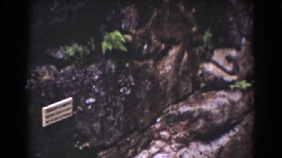 1939 Mount Washington frame showing tree roots, boulders, a small sign, and shaded water or wet rock in a natural park setting.