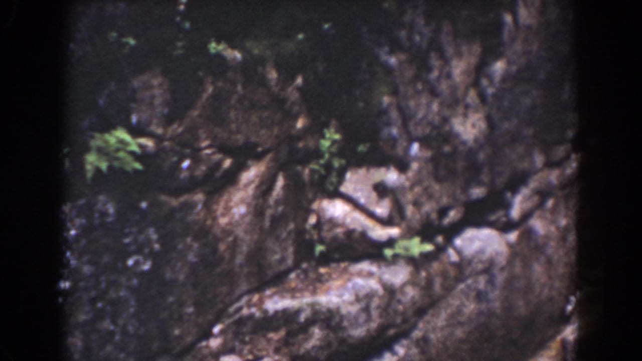 1939 Mount Washington frame with rugged stone texture, small green plants, and dark cracks across the rocky surface.