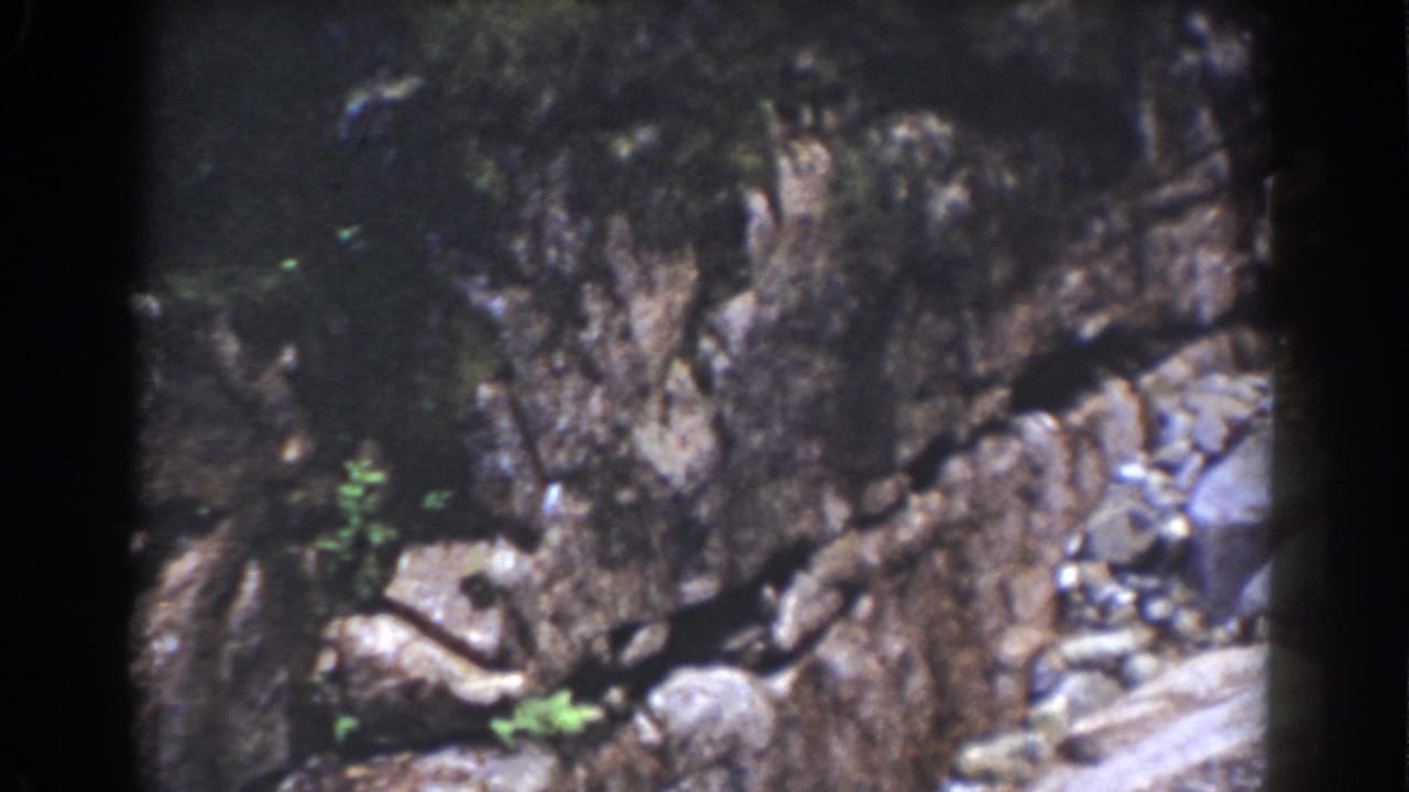 1939 Mount Washington frame showing a rough rock wall, loose stones, small green plants, and a pale ground edge at the lower right.