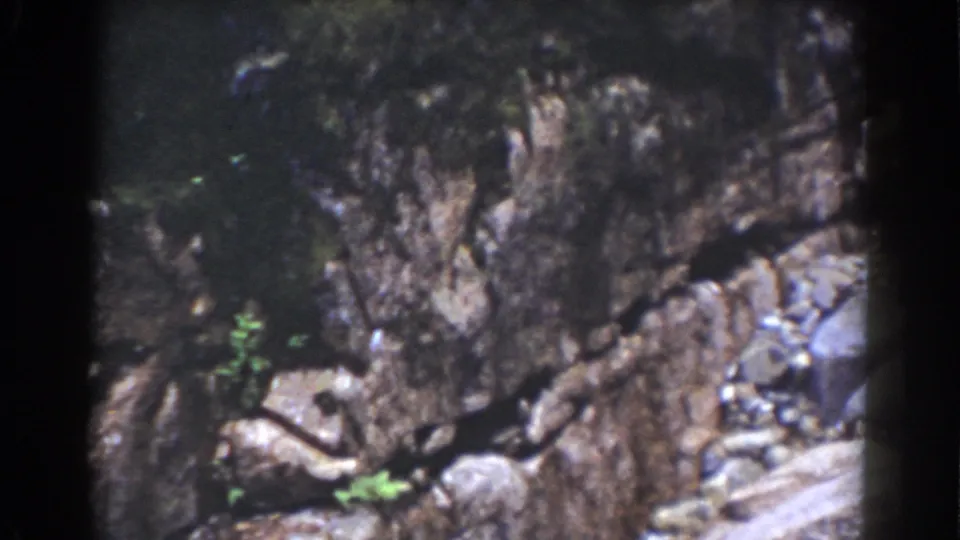 1939 Mount Washington frame showing a rough rock wall, loose stones, small green plants, and a pale ground edge at the lower right.