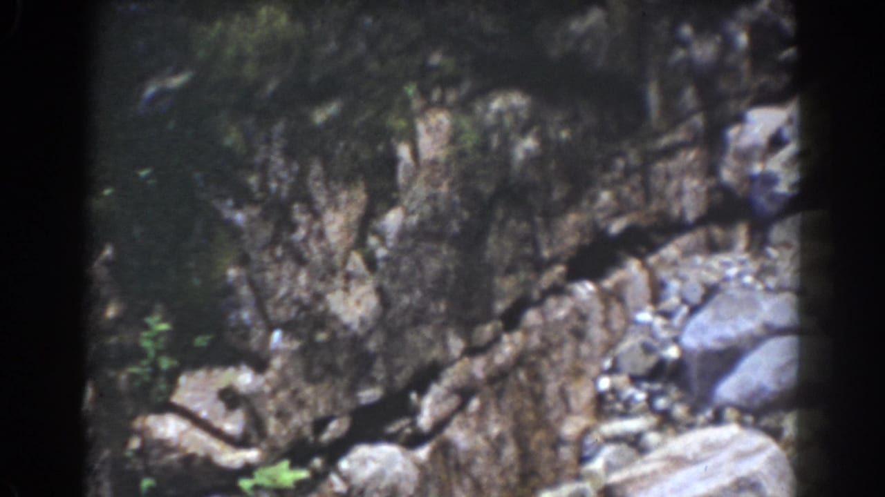 Rock wall and scattered boulders in Mount Washington home-movie footage from the 1939 clip metadata.