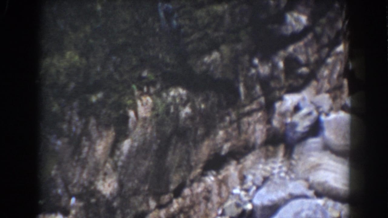 A rugged rock formation and boulder-strewn stream area, identified by metadata as Mount Washington, New Hampshire.
