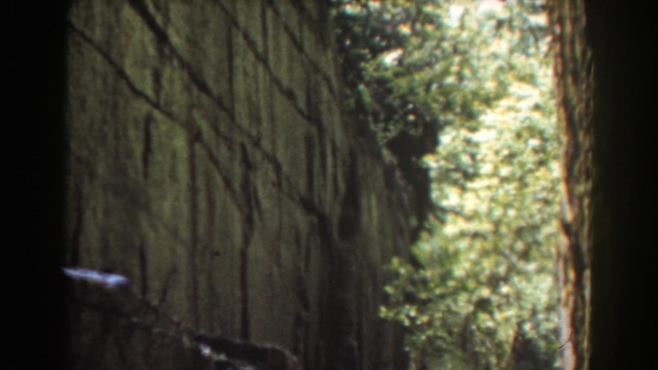 A narrow gorge with high stone walls and surrounding forest appears in the final 1939 Flume Boulder frames.