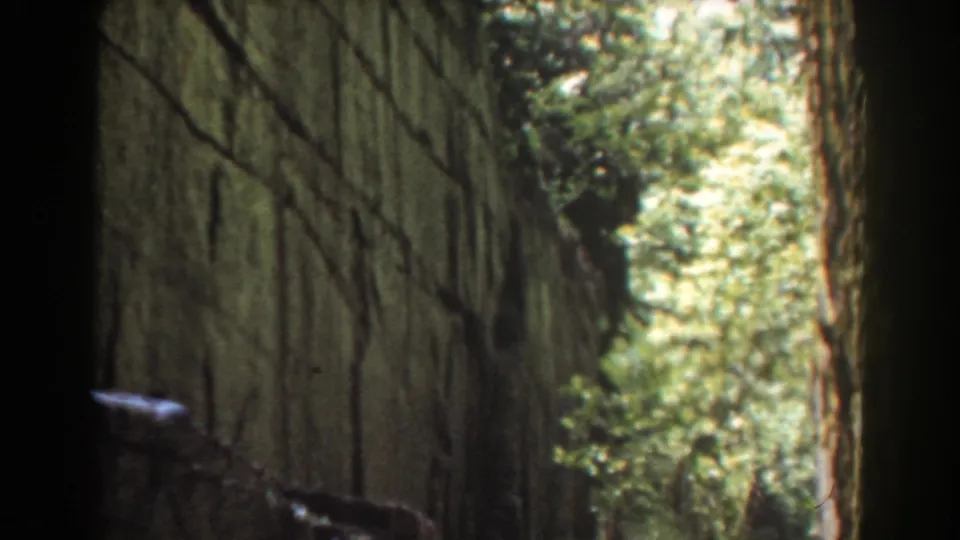 A narrow gorge with high stone walls and surrounding forest appears in the final 1939 Flume Boulder frames.