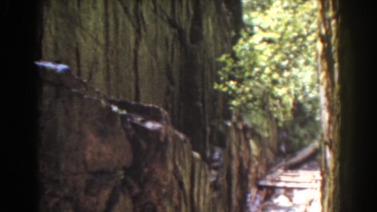 Forest corridor with a rough wall, tree trunks, and a bright stream area to the right.