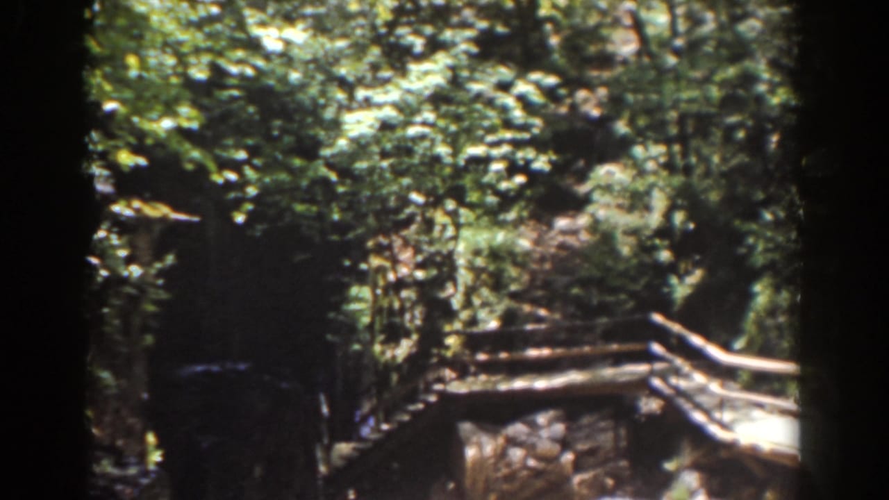 Late-1930s Mount Washington frame showing dense forest, rocks, and part of a wooden bridge or railing near the stream.