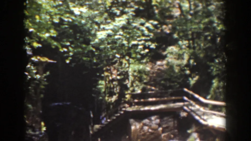Late-1930s Mount Washington frame showing dense forest, rocks, and part of a wooden bridge or railing near the stream.