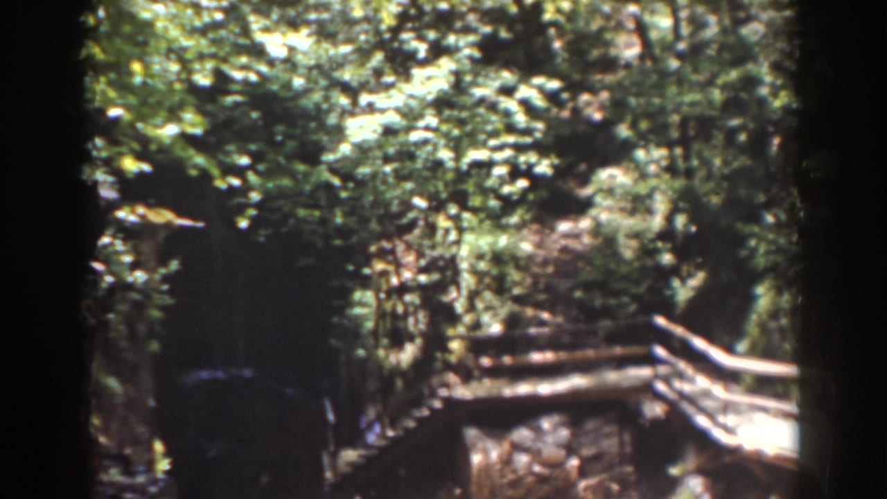 Visitor-shot 1939 Mount Washington footage appears to show a rustic wooden bridge in a sun-dappled forest.