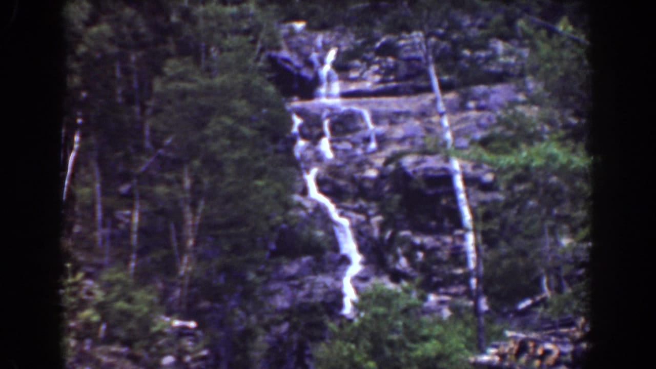 1939 8mm frame of a forested Mount Washington cascade with pale tree trunks and dark rock ledges.