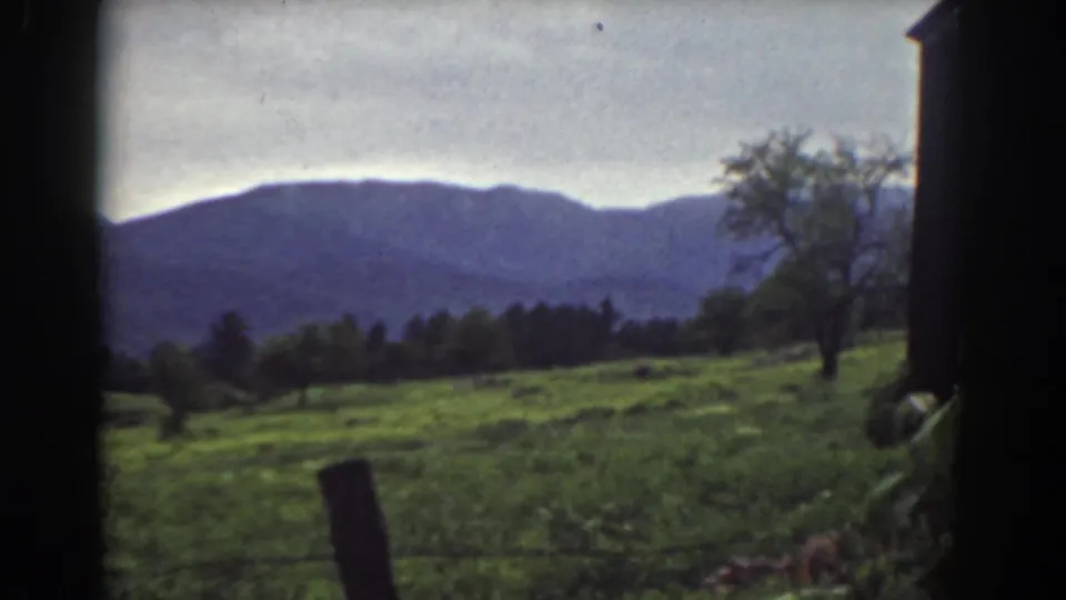 Mount Washington area pasture seen in 1939 home-movie footage, with a leaning post, scattered trees, and a dark mountain ridge beyond.