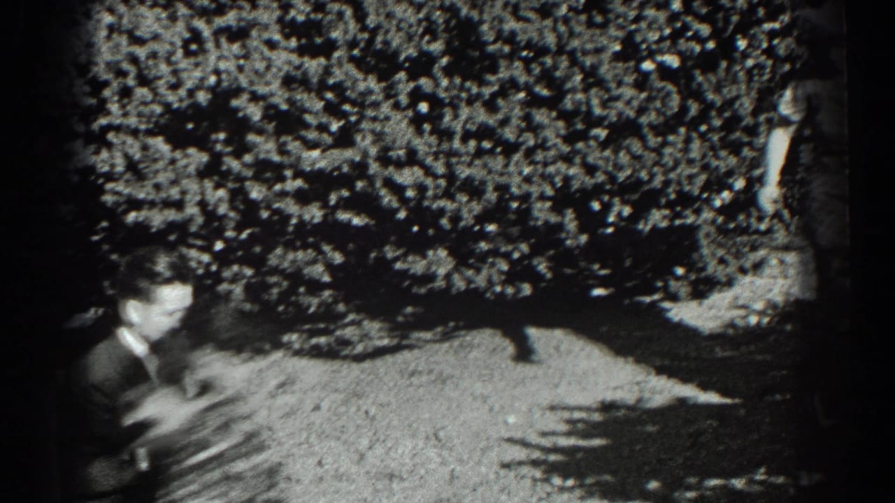 A suited man moves quickly across a bright lawn in front of dense shrubs.