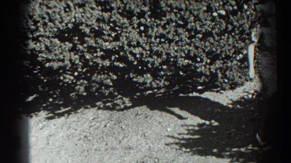 The 8mm frame holds on the garden setting, with shrubs, lawn, deep shadows, and a partial standing figure at the right edge.