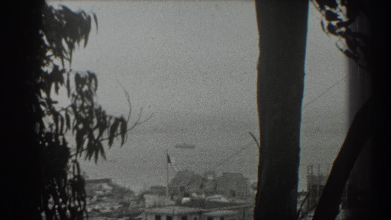 Dark tree silhouettes frame a hazy waterfront view with low buildings, a flag, and a distant ship.