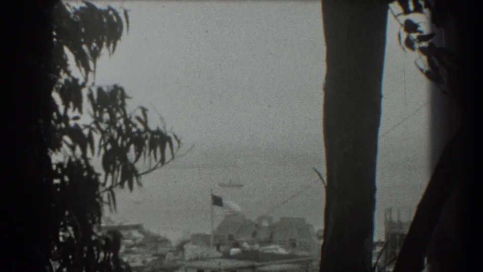 1939 San Francisco home-movie view with swaying tree silhouettes, hazy waterfront, low buildings, and a small flag near the lower frame.