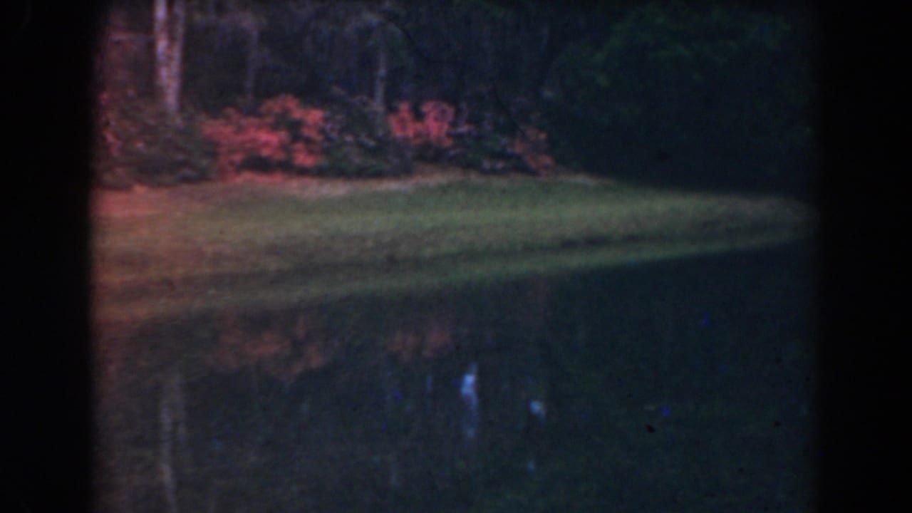1941 Florida 8mm frame showing a calm pond reflecting grass, trees, and red flowering shrubs along the far bank.