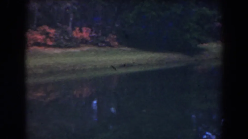 1941 Florida home-movie frame with red blooms on a grassy pond edge and dark foliage reflected in the water.