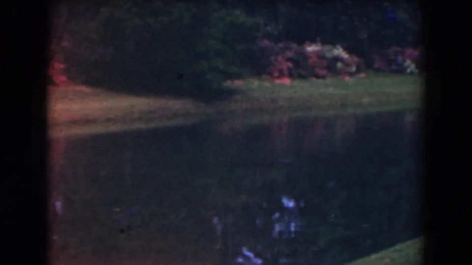 1941 Florida home-movie frame of a landscaped pond edge with red flowers, green grass, and dark tree cover reflected in the water.