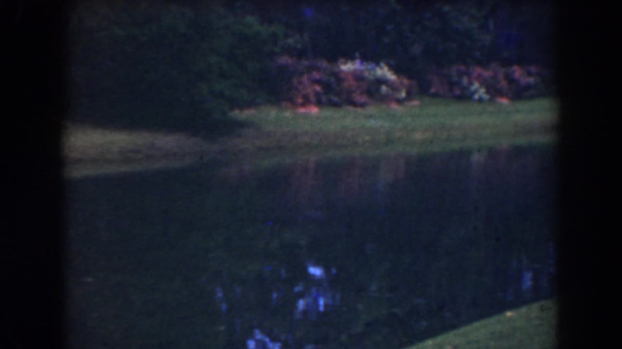 Calm water channel beside grass and flowering shrubs, seen through dark 8mm frame edges.