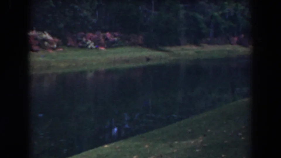 1941 Florida home-movie frame showing a quiet channel, green bank, flowering shrubs, and dense background trees.