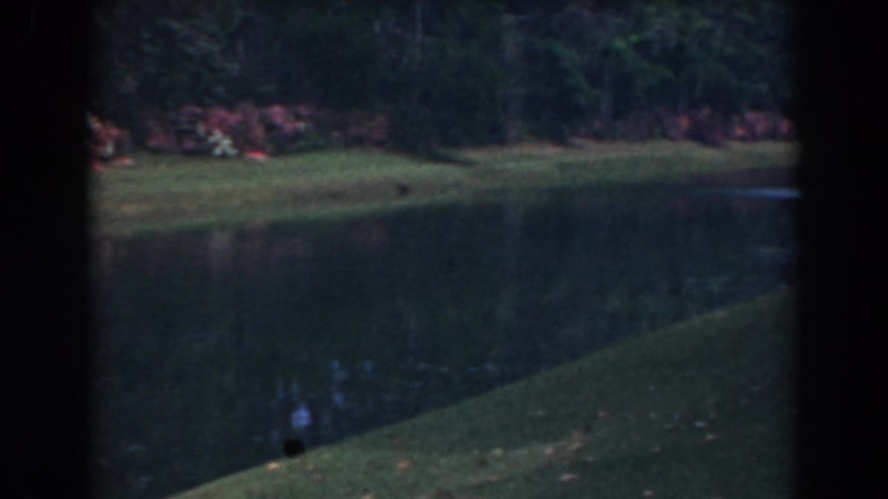 Pond bordered by grassy banks and dense trees, seen through dark contact-sheet edges.