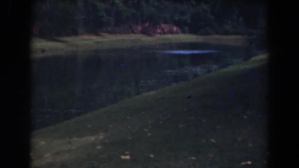 1941 Florida 8mm view of a wooded pond, with a grass foreground slope and dark reflected trees.