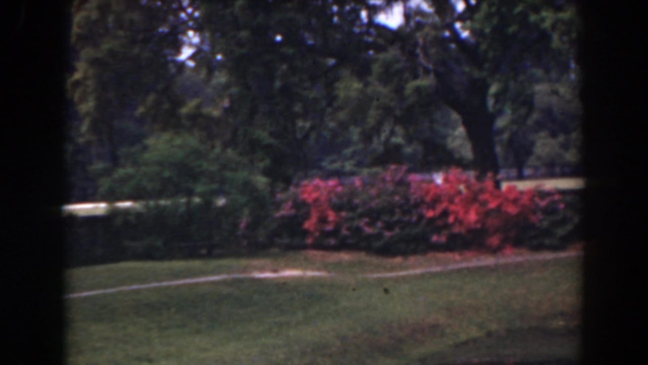1941 Florida 8mm frame showing a shaded garden lawn, red flowering bushes, and mature trees in soft morning light.