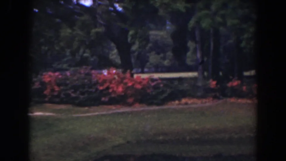 A soft 8mm view of a Florida garden in 1941, with flowering bushes, trimmed lawn, and deep shade from trees.