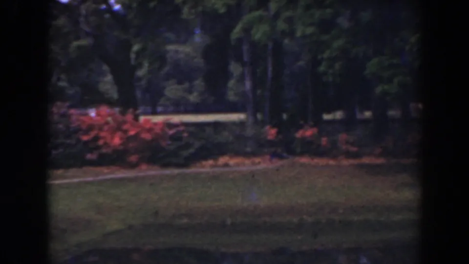 Final 1941 Florida garden frame with lawn, flowering shrubs, and mature trees seen through dark 8mm frame edges.