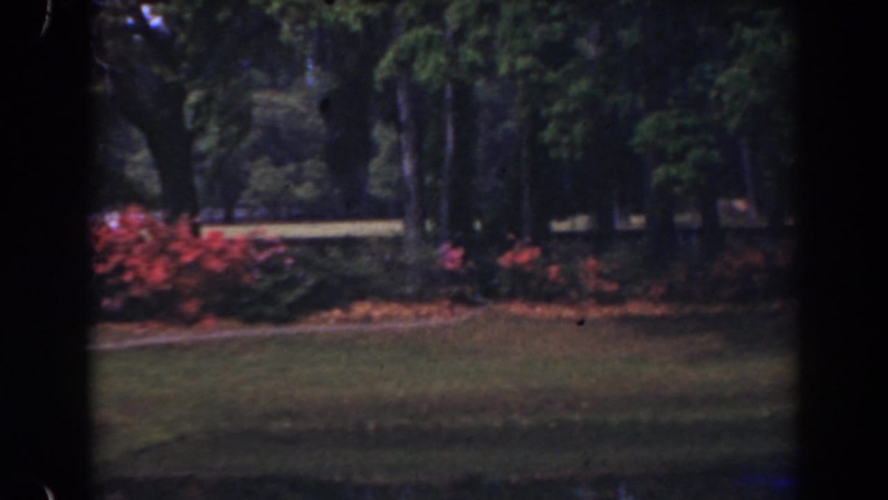 Landscaped lawn with red flowers and trees, partly obscured by dark film borders.