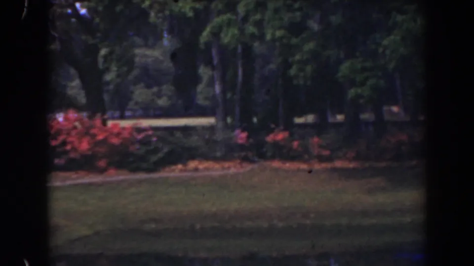 1941 Florida 8mm frame showing red flowering shrubs, grass, and mature trees in a landscaped outdoor setting.