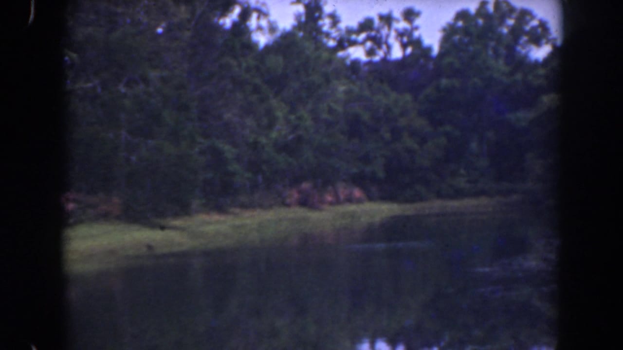 Calm waterway beside grass and trees with reflections on the surface.