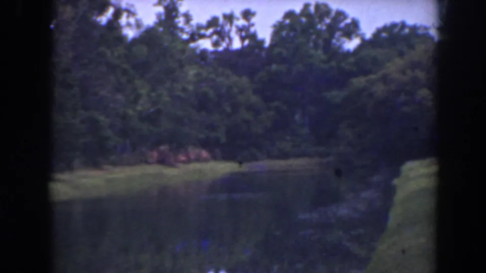 1941 Florida 8mm frame with a wider look across a quiet waterway, grassy banks, and surrounding trees.