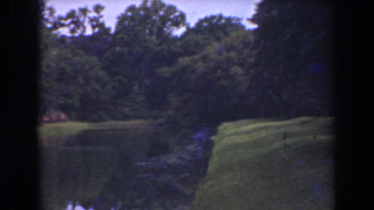 1941 Florida 8mm frame showing calm water, a maintained grassy edge, and a shaded tree line.