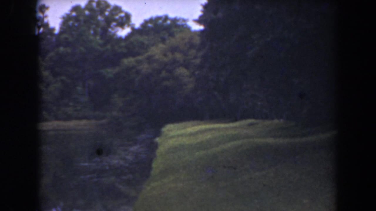 Grassy bank and water bordered by a dark tree line.