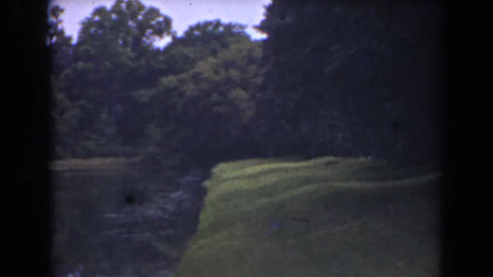 1941 Florida home-movie frame with a bright grassy bank beside still water and trees beyond.