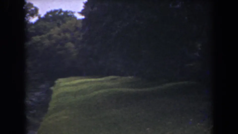 1941 Florida 8mm frame showing the pan passing a lawn edge, dark water, and dense foliage.