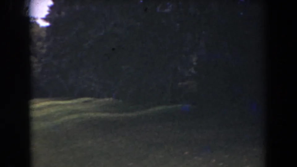 1941 Florida home-movie frame with dark foliage, grassy ground, and partial water at the edge of the pan.