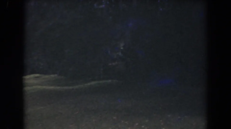 Dim 1941 Florida 8mm frame showing shadowed backyard ground and soft tree or shrub forms in low light.