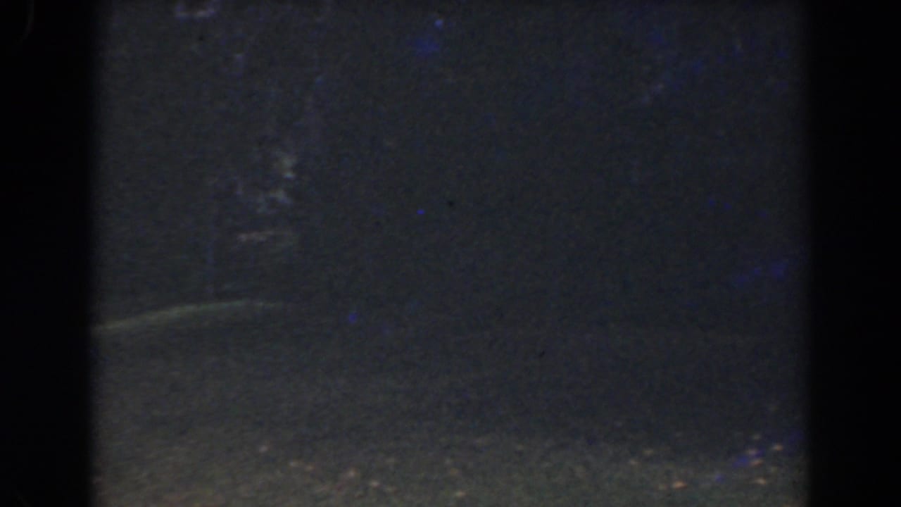 Dark yard surface with faint horizontal ground line and film specks.
