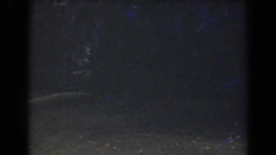 Low-light 1941 Florida home-movie frame with a dark yard surface, faint vegetation, and visible film grain.